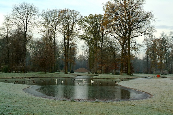 Eine kleine Schwimmfläche der Schwäne ist eisfrei gelieben: Queen-Auguste-Victoria-Park im Winter