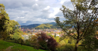 Traumhafte Ausblicke vom Lorettoberg: Sicht auf das Freiburger Münster, die Altstadt und den Schlossberg.