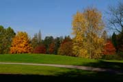 Auf dem Weg zum Herbst im  Queen-Auguste-Victoria-Park.