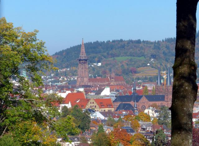 Bellevue auf das schöne Freiburg: Der Vorgang vor den Fenstern vom Lorettoberg ist gefallen.