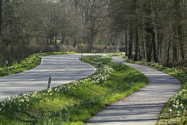 Die Landstraße vor dem Queen-Auguste-Victoria-Park weist auf das Osterglocken-Blütenwunder im Park hin