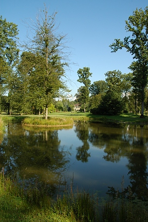 Kleine Insel im Teich des Queen-Auguste-Victoria-Parks. Im Hintergrund das Schloss