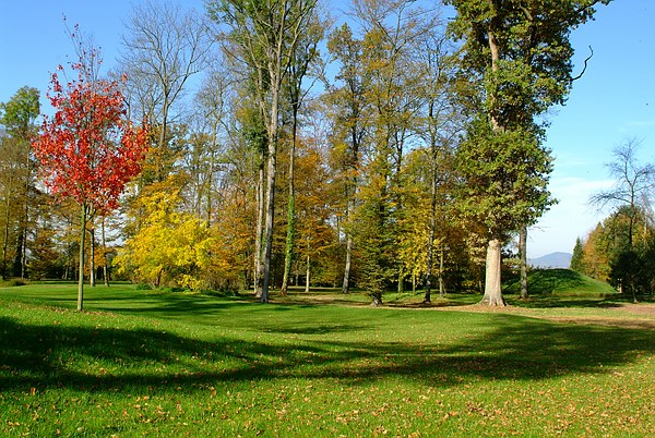 Die Bäume sind schon kahl geworden: der Queen-Auguste-Victoria-Park mit dem Blick zum Kaiserstuhl