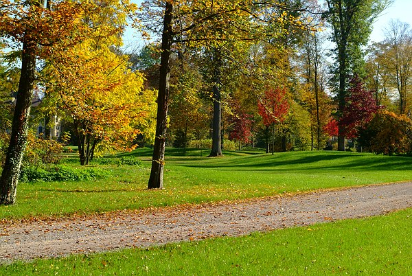 Weg im Queen-Auguste-Victoria-Park im sanften Grün