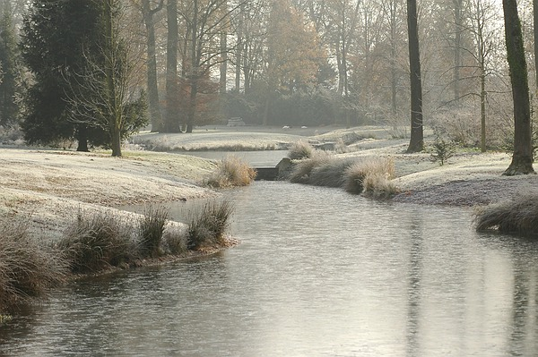 Verwunschene Landschaft: Der Queen-Auguste-Victoria-Park im Winter