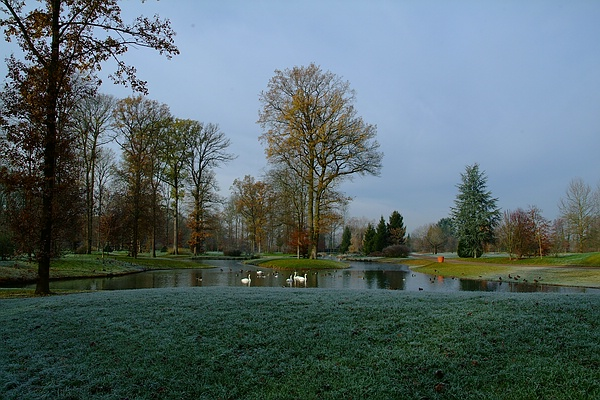 Der Fulwellpark in Umkirch: In einem Landschaftsbild zum träumen