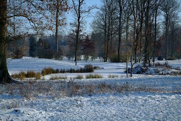 Winterliche Parklandschaft im Fulwellpark