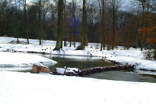 Winter im Fulwellpark