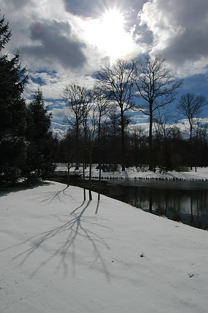 Baumschatten im Schnee des Fulwellparks