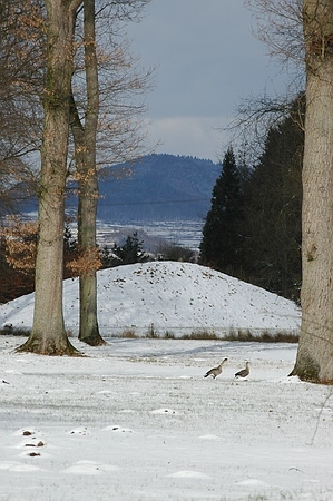 Der kleine Kaiserstuhl im Fulwellpark mit Schneemantel, dahinter der große Kaiserstuhl