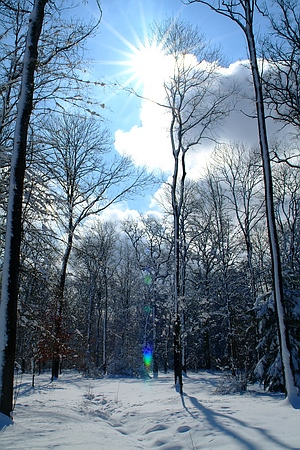 Sonne, Schnee, Eis und das Licht des Winters über dem Fulwellpark