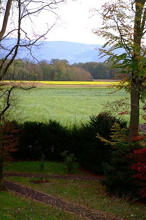 W E I T B L I C K  -
Einmalig schönes, noch intaktes  Landschaftsbild vom Park über den Mooswald zum Hochschwarzwald