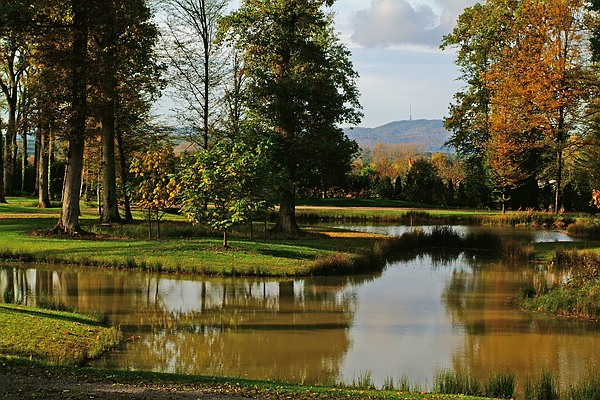 Landschaftsbild des Parkschöpfers:  Auenlandschaft mit weitem Blick über das Wasser zum Kaiserstuhl