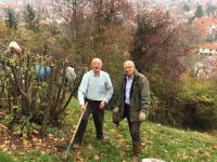 Parkschöpfer Werner Semmler und Forstdirektor em. Alfred Rupf gehen mit gutem Beispiel voran: Einpflanzung von Osterglocken auf dem Lorettoberg.