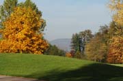 Landschaftsbild des Parkschöpfers:  Schöne Bäume säumen den Blick aus dem Queen-Auguste-Victoria-Park zum  Kaiserstuhl