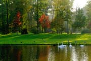 Sanfte Gestaltung im Queen-Auguste-Victoria-Park: Uferlandschaft mit grünem Hügel