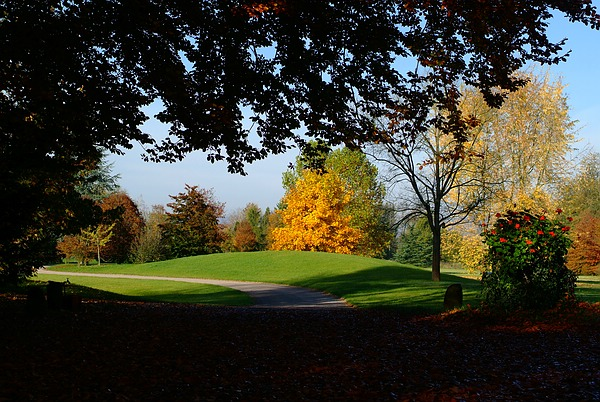 Der Herbst wirft seine langen Schatten im Queen-Auguste-Victoria-Park und die Natur schlummert in den Schlaf
